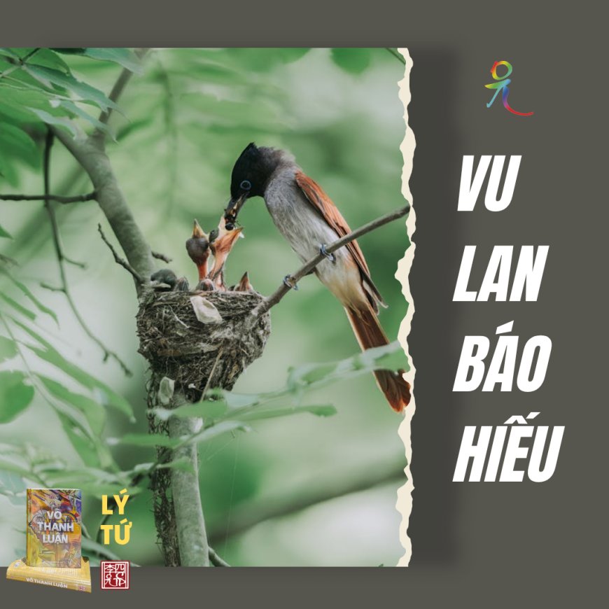 Vu Lan Báo Hiếu