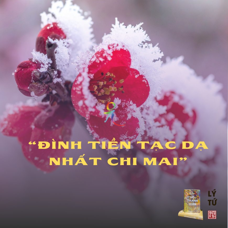 Đình Tiền Tạc Dạ Nhất Chi Mai