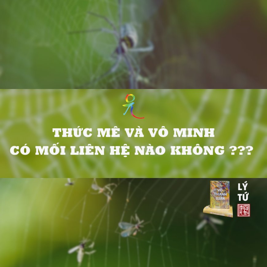 Thức Mê Và Vô Minh Có Mối Liên Hệ Nào Không ???