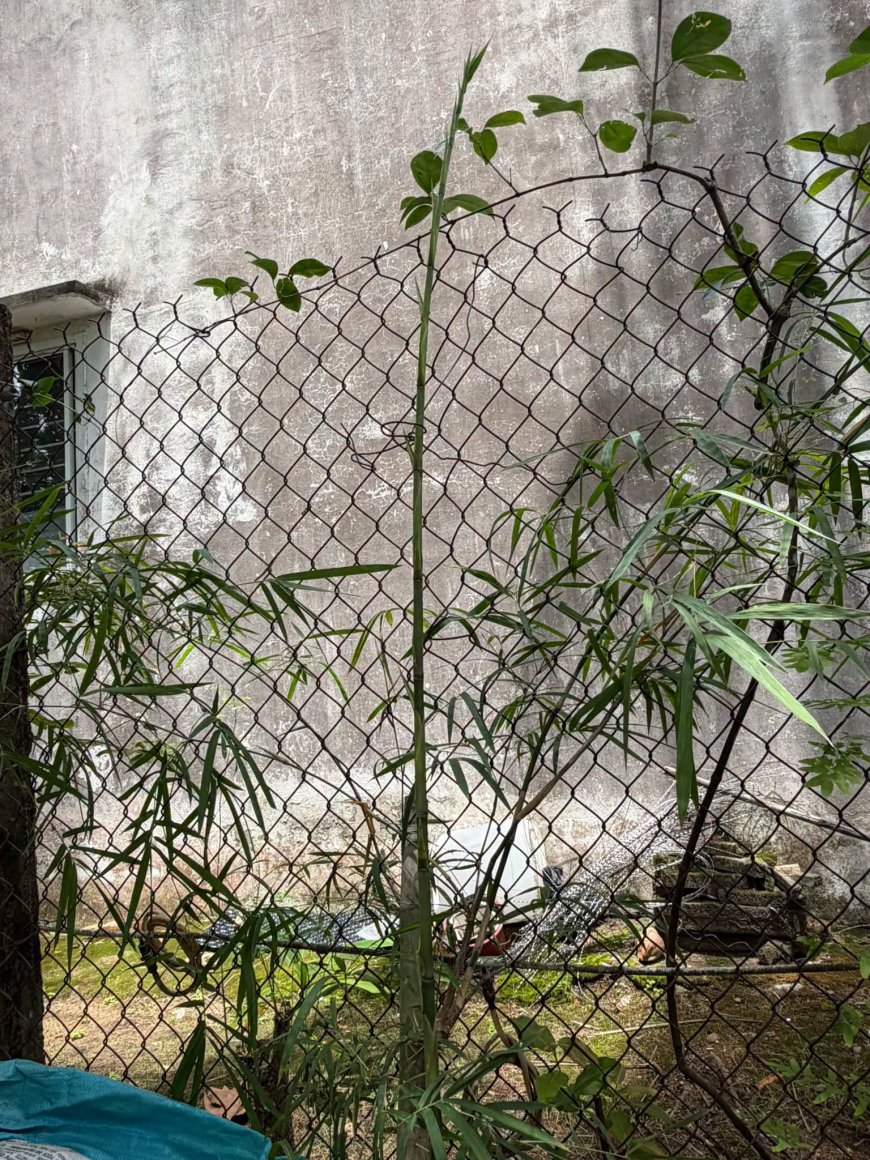 Đọc Sách Mà Được Thiền !!!