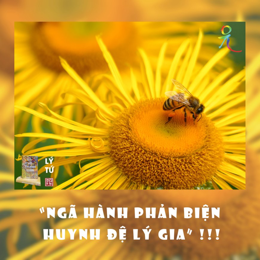“Ngã Hành Phản Biện Huynh Đệ Lý Gia” !!!