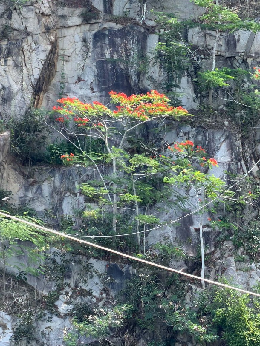 Hạt Bụi Vô Minh !!!