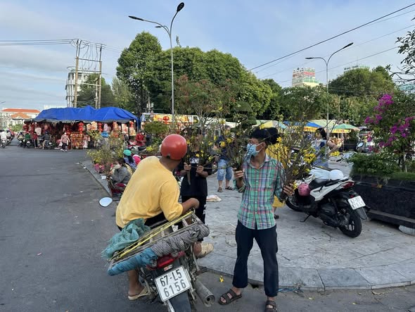 Phiền Não Trụ Địa Và Vô Minh Trụ Địa !!!