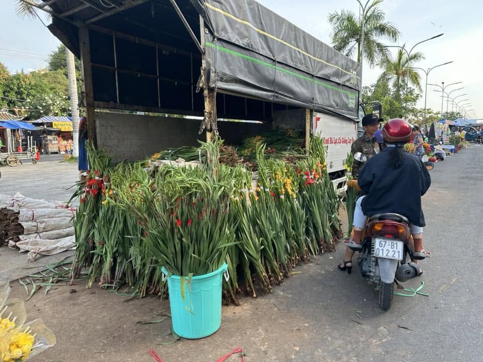 Phiền Não Trụ Địa Và Vô Minh Trụ Địa !!!