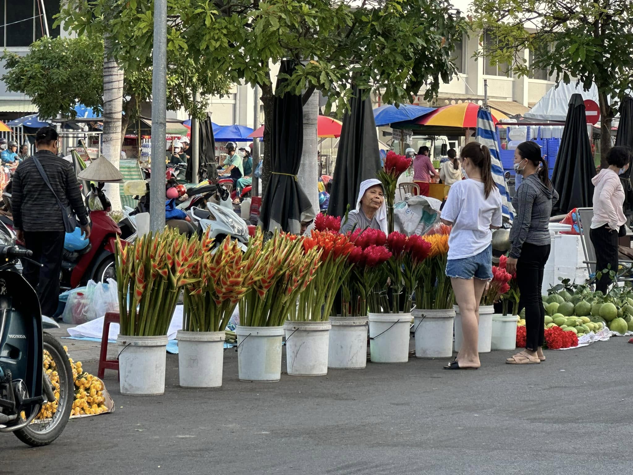 Phiền Não Trụ Địa Và Vô Minh Trụ Địa !!!